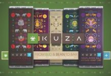 6 Non-Psychoactive Products to Close Out June