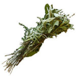 252px-Bouquet_garni_p1150476_extracted
