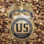 DEA says it Won’t Prohibit Cannabis Stems, Seeds for Product Use, Sale DEA_Stems_Seeds_CBD_Today