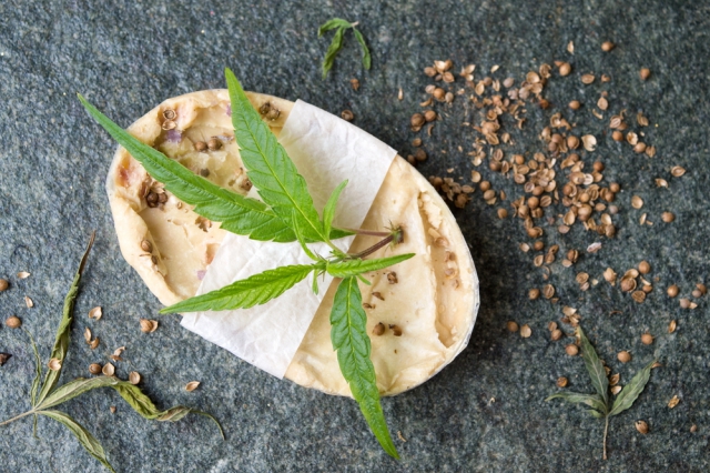 hemp-convention-CBD-CBDToday