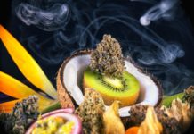 Talking About Terpenes terpenes_CBD_Today