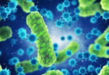 Botanix Pharma, Queensland U Partner for CBD-Based Med to Fight Superbugs Bacteria_CBD_Today