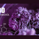 5 Unusual Ways to Use CBD CBD_Only_CBD_Today