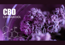 5 Unusual Ways to Use CBD CBD_Only_CBD_Today
