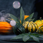 Almost Fall: September CBD Product Round-Up Almost Fall_CBD_Today