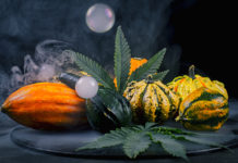 Almost Fall: September CBD Product Round-Up Almost Fall_CBD_Today