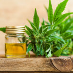 CBD May Help Fight Psychosis Hemp-cultivation-cbd-cbdtoday