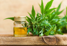 CBD May Help Fight Psychosis Hemp-cultivation-cbd-cbdtoday