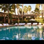 Saving Sophie Fundraiser for Pediatric Cancer Research Roosevelt_Tropicana_Bar_CBDToday