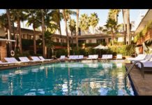 Saving Sophie Fundraiser for Pediatric Cancer Research Roosevelt_Tropicana_Bar_CBDToday