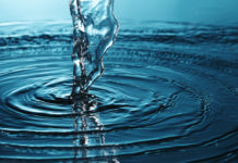 5 Brands Offering CBD Infused Water for Your Shop CBD Water CBD Today