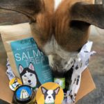 CBD Dog Gift Basket CBD Today