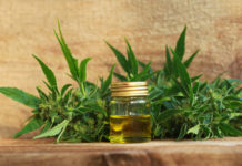 The Farm Bill Legalized Hemp. Don’t Celebrate Just Yet. CBD industrial hemp farm bill cbd today