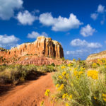 4 CBD Producers in New Mexico New Mexico CBD Today