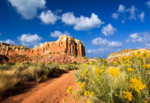 4 CBD Producers in New Mexico New Mexico CBD Today