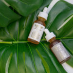 Bloom Farms Launches All-Natural, Organic CBD Line Bloom Farms CBD launch CBD Today magazine January 2019