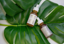 Bloom Farms Launches All-Natural, Organic CBD Line Bloom Farms CBD launch CBD Today magazine January 2019