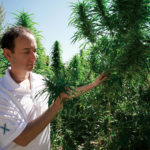 Elixinol Founder Paul Benhaim Brings Science to Nature Elixinol Paul Benhaim