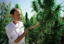 Elixinol Founder Paul Benhaim Brings Science to Nature Elixinol Paul Benhaim