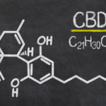 How the Endocannabinoid System Works CBD molecule science CBD Today magazine