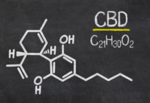 How the Endocannabinoid System Works CBD molecule science CBD Today magazine