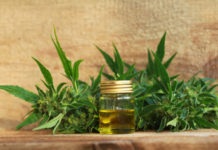 5 Books on CBD, from Recipes to Expert Tips CBD_hemp_books_CBDToday