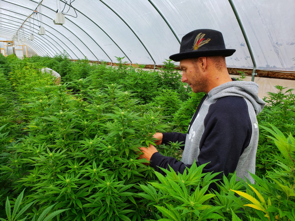 CBD-Legality-2018 Farm bill-CBDToday