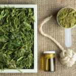 The State of Hemp Industrial hemp farming cbd today mg Magazine