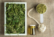 The State of Hemp Industrial hemp farming cbd today mg Magazine