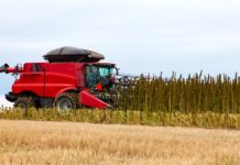 Is Hemp the New Darling of American Agriculture? American farmers_turn_to_hemp farming_CBDToday