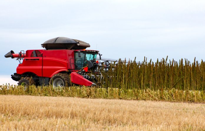 American farmers_turn_to_hemp farming_CBDToday