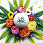 Cannabombz Medicated Bath Bombs Cannabombz-Bath-bomb-CBD-products-CBDToday