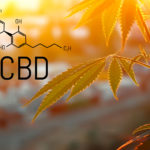 An FDA Primer: 6 Key Questions That Need Answers at The CBD Hearing FDA-CBD-Hearing-KushCo-CBDToday