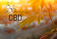 An FDA Primer: 6 Key Questions That Need Answers at The CBD Hearing FDA-CBD-Hearing-KushCo-CBDToday