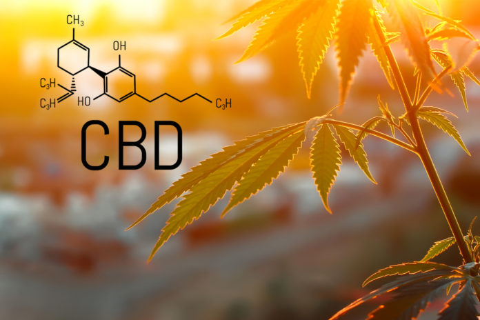 FDA-CBD-Hearing-KushCo-CBDToday