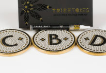 TribeTokes CBD Vape Starter Kit Tribe-Tokes-starter-kit-black-wand-CBD Today