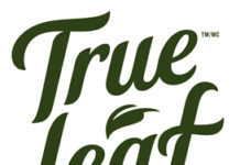 True Leaf Receives Nearly $1 Million CAD in Proceeds Through Successful Warrant Exercise