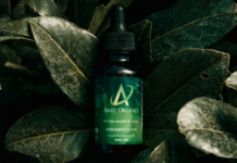 Abate Organics CBD Tinctures Abate-Organics-Peppermint-CBD-CBDToday
