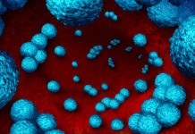 Study: CBD May Hold Potential to Kill Superbug Causing Staph Infections CBD-Staph-treatment-CBDToday