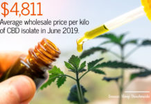 Industry Insights and CBD Statistics for July 2019 CBD Statistics-1-July 2019-CBDToday