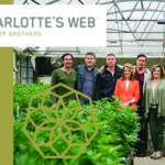 Charlotte’s Web Stock Spikes on Kroger Announcement Charlotte's-Web-Krogers-CBDToday