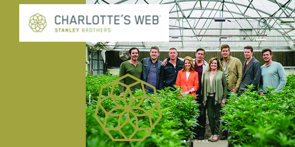 Charlotte's-Web-Krogers-CBDToday