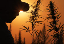 Ohio Lawmakers Approve Bill to Legalize Hemp and CBD Ohio-Hemp-CBD-CBDToday