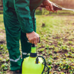 South Carolina Approves Pesticide Use in Hemp Farming South-Carolina-Hemp-CBD-Pesticides-CBDToday