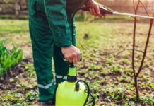 South Carolina Approves Pesticide Use in Hemp Farming South-Carolina-Hemp-CBD-Pesticides-CBDToday