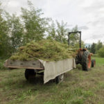 Ohio Legalizes Hemp and CBD After Gov. DeWine Signs Bill Into Law hemp-cbd-ohio-DeWine-CBDToday