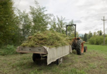 Ohio Legalizes Hemp and CBD After Gov. DeWine Signs Bill Into Law hemp-cbd-ohio-DeWine-CBDToday