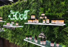 The Building Blocks of CBD: CV Sciences Plans to Conquer the Chain-Store Market CV Sciences-2-CBD-CBDToday