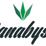 Canabyst Releases First Unbiased Ranking of CBD Oil Brands for Consumers Based on Computer Algorithm Canabyst-logo-CBD-CBDToday