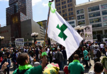 August 8 is National CBD Day National CBD Day-CBD-CBDToday